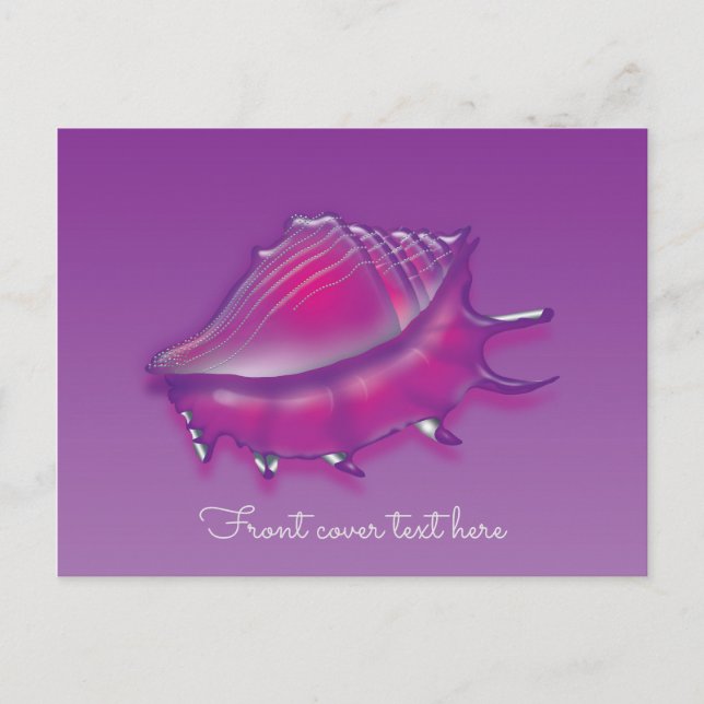 Cartão Postal Seashell (Frente)