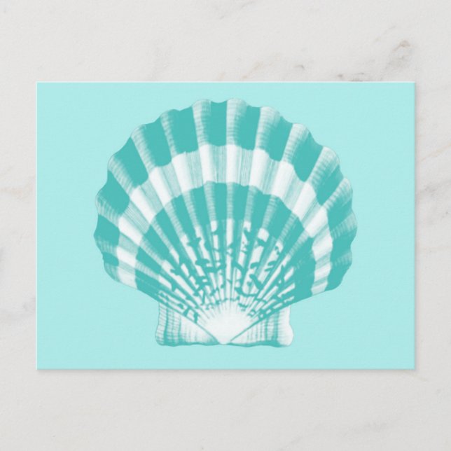 Cartão Postal Seashell - aqua mole e branco (Frente)