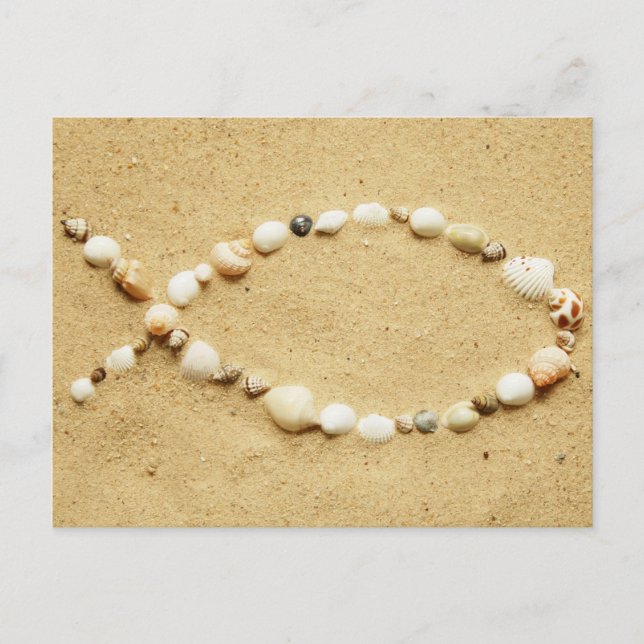 Cartão Postal Seashell Ichthys (Frente)
