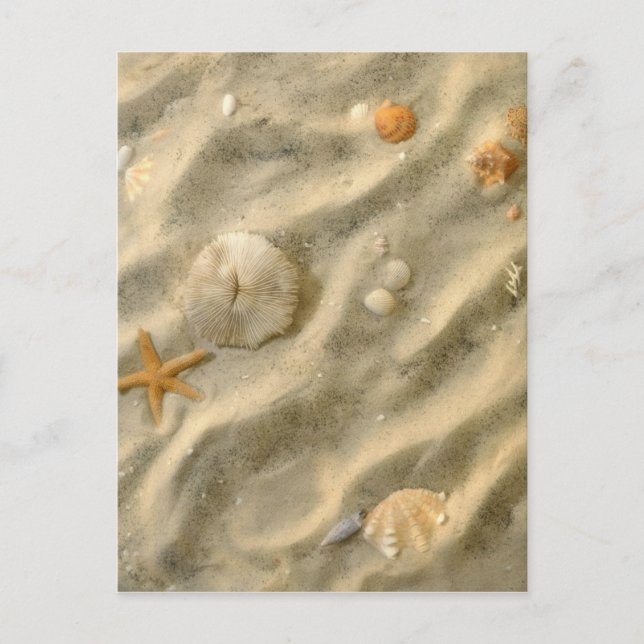 Cartão Postal Seashells na areia (Frente)