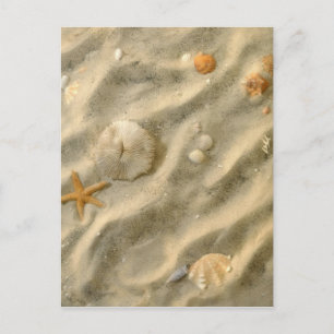 Cartão Postal Seashells na areia