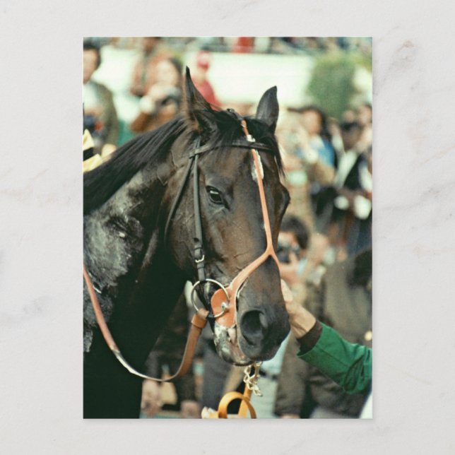Cartão Postal Seattle Slew Thorogenie 1978 (Frente)