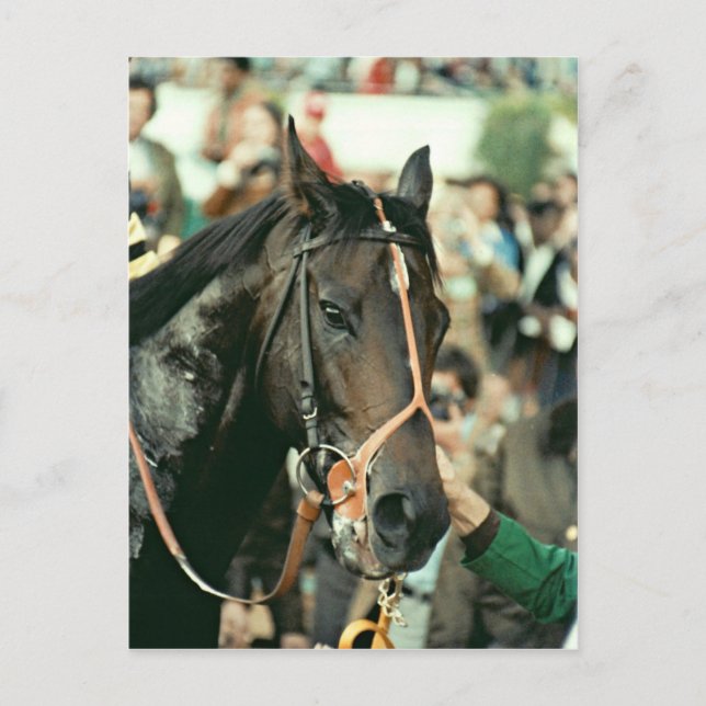 Cartão Postal Seattle Slew Thorogenie 1978 (Frente)