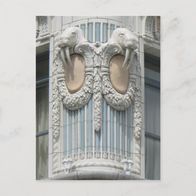 Cartão Postal Seattle Walrus (Frente)