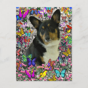 Cartão Postal Sebastian the Welsh Corgi em Borboletas