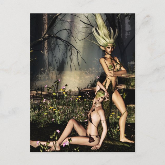 Cartão Postal Secadores no Resto (Frente)