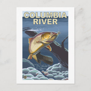 Cartão Postal Secção transversal da truta de Cutthroat