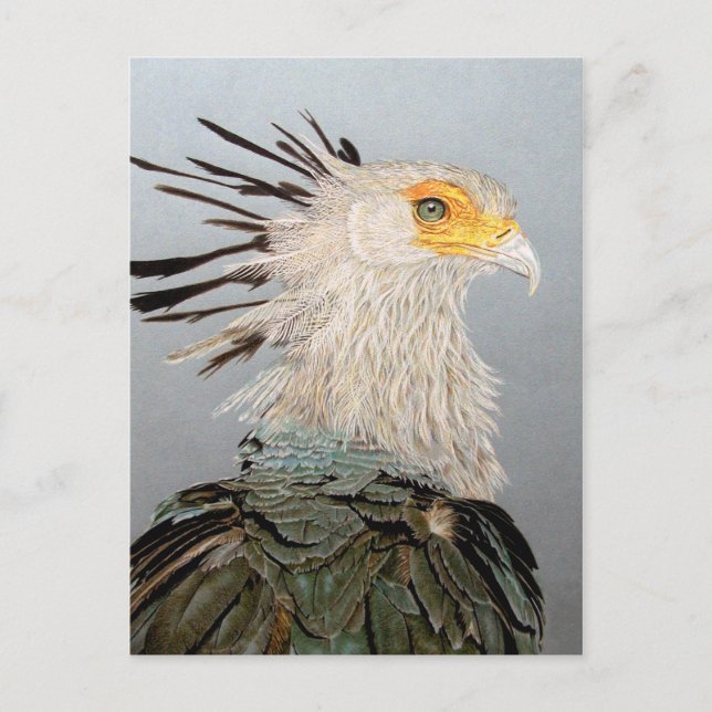 Cartão Postal Secretário Bird (Frente)