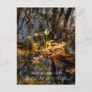 Cartão Postal Seek to Understand, Not to be Understood Postcard