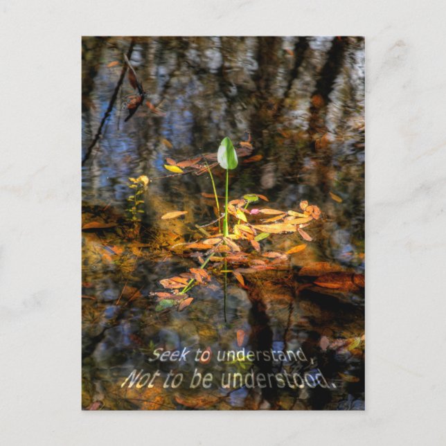 Cartão Postal Seek to Understand, Not to be Understood Postcard (Frente)