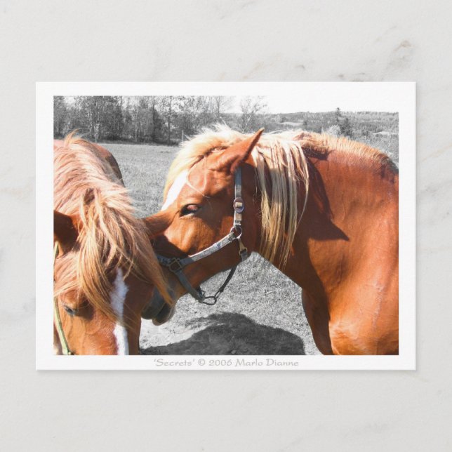 Cartão Postal Segredos (Frente)