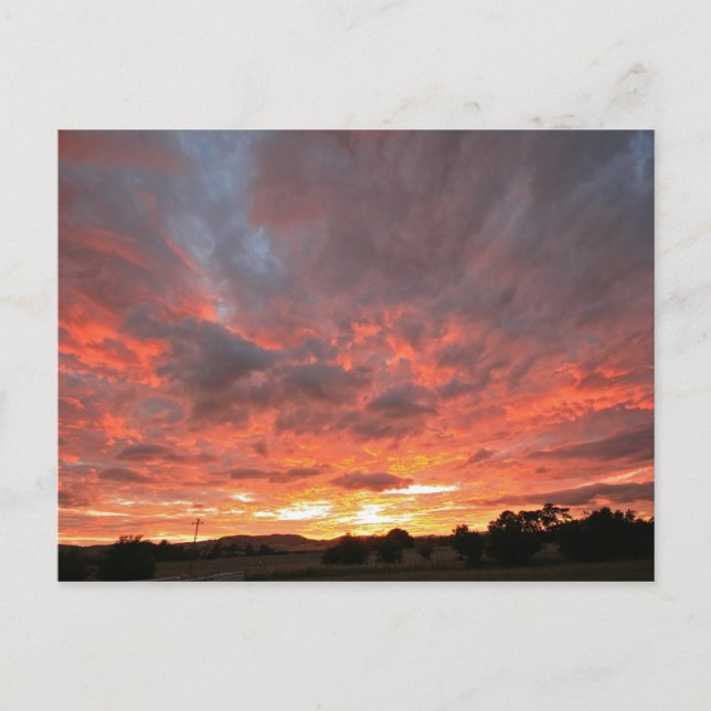 Cartão Postal Segunda-feira (Frente)