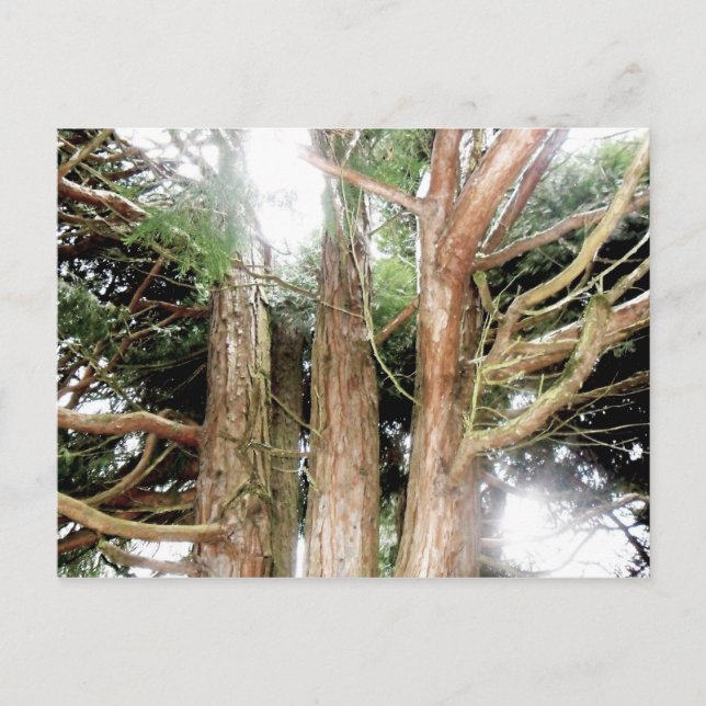 Cartão Postal segurança encontrada (Frente)