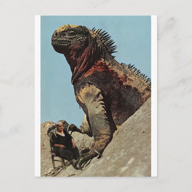 Cartão Postal Segure firme - (Frente)