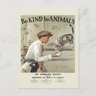 Cartão Postal Seja gentil com os animais EUA — vintage postal 