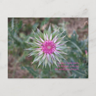 Cartão Postal SejaOQueVocêSonha