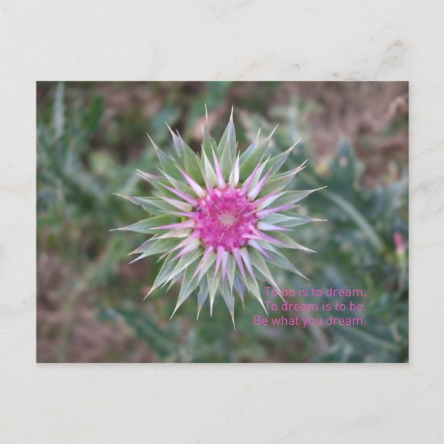 Cartão Postal SejaOQueVocêSonha (Frente)