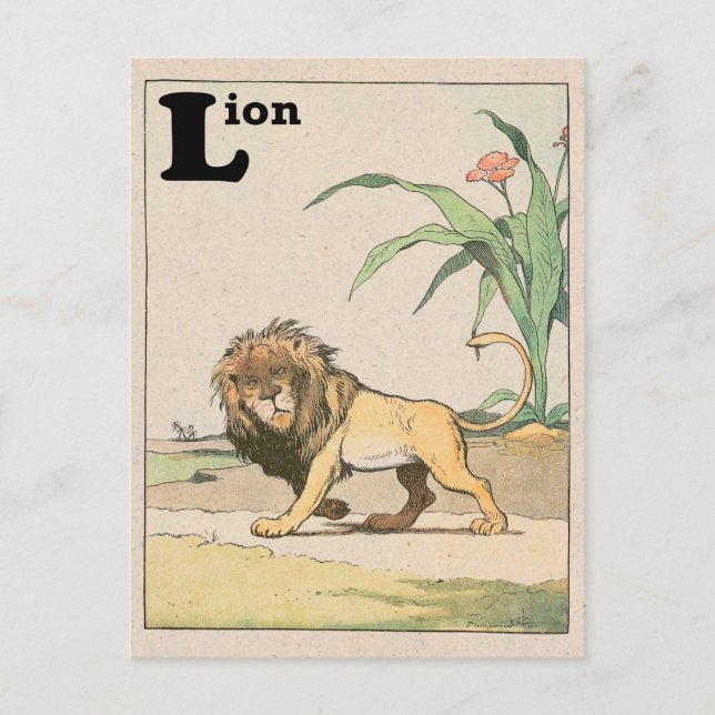 Cartão Postal Selgle Lion Alphabet Animal (Frente)