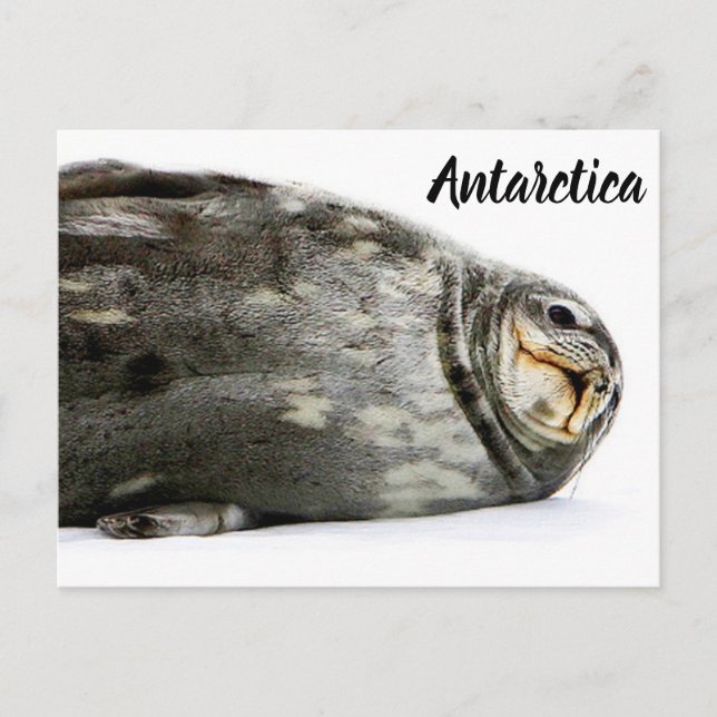 Cartão Postal 'Selo com um Beijo' (Frente)