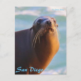 Cartão Postal Selo de homologação