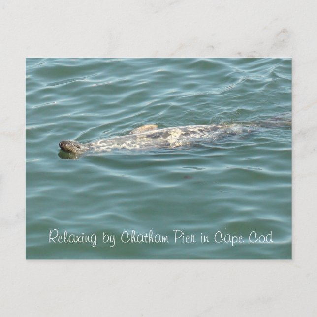 Cartão Postal Selo flutuando de costas no cais do cártamo em Cab (Frente)