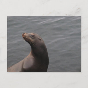 Cartão Postal Selo - Montery Bay CA