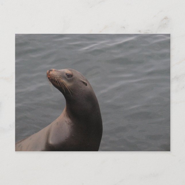 Cartão Postal Selo - Montery Bay CA (Frente)