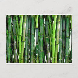 Cartão Postal Selva de plantas verdes e bambu