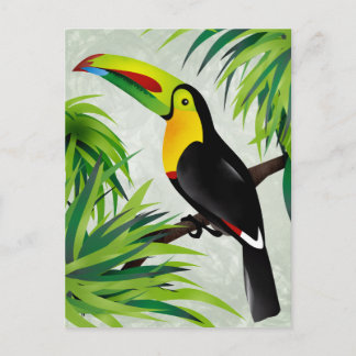 Cartão Postal Selva Toucan