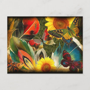 Cartão Postal Selvagem com borda