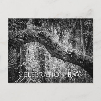 Cartão Postal Selvagens de Celebração