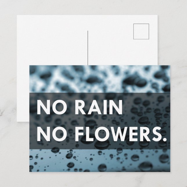 Cartão Postal Sem chuva sem flores (Frente/Verso)