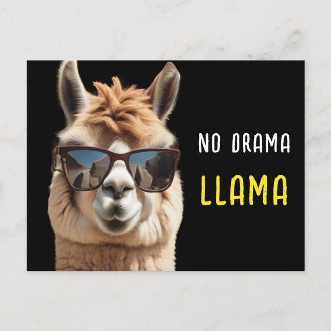 Cartão Postal Sem Drama Llama Legal Alpaca com óculos escuros en (Frente)