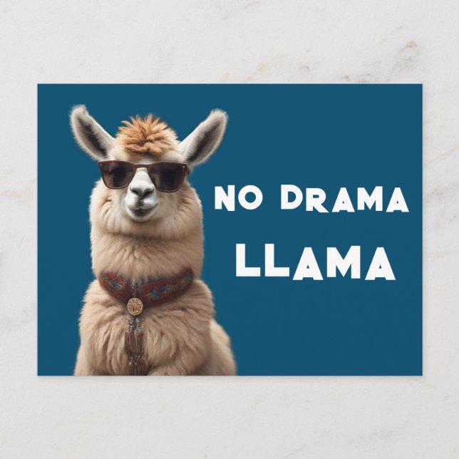 Cartão Postal Sem Drama Llama Legal Alpaca Veste Óculos escuros  (Frente)