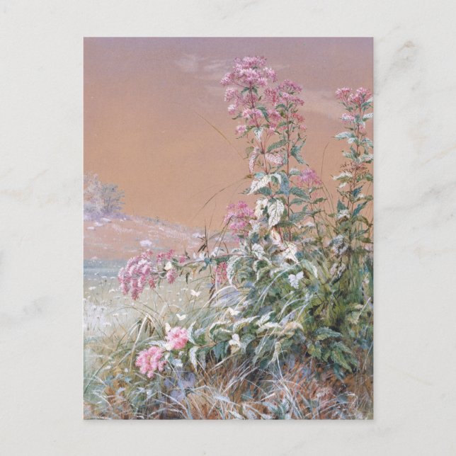 Cartão Postal Sem título | Fidelia Bridges (Frente)