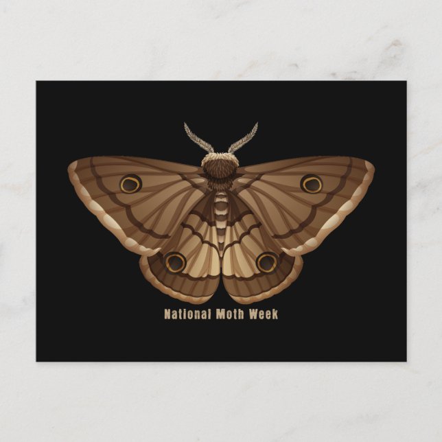 Cartão Postal Semana Nacional da Mama (Frente)