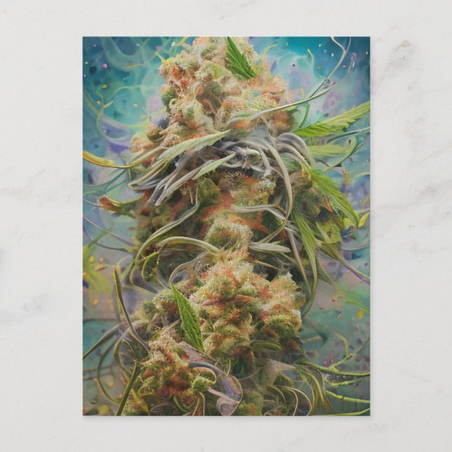 Cartão Postal Semana Verde (Frente)