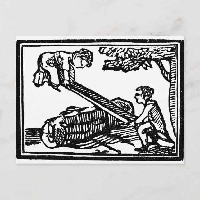 Cartão Postal Semente (Frente)