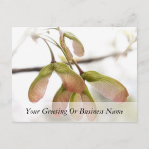 Cartão Postal Sementes Aladas de Bordo