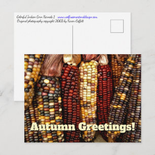 Cartão Postal Sementes Coloridas de Milho Indiano
