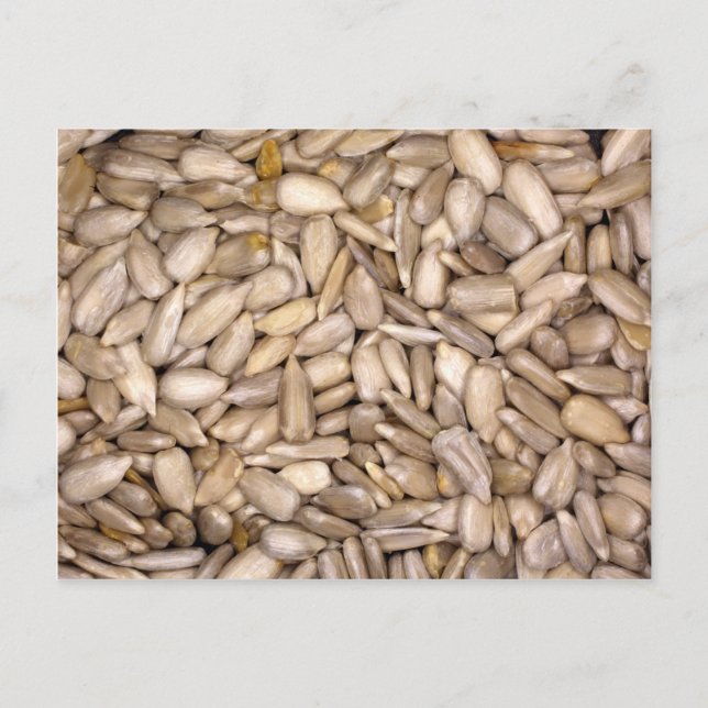 Cartão Postal Sementes de girassol (Frente)