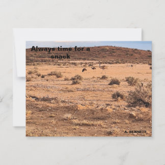 Cartão Postal Sempre é hora de um lanche