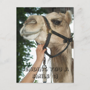 Cartão Postal Sending You a Smile  :)