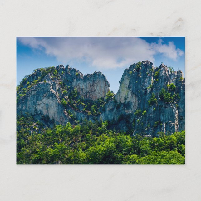 Cartão Postal Seneca Rocks no verão, Virgínia Ocidental (Frente)