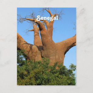 Cartão Postal Senegal
