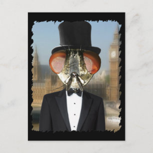 Cartão Postal Senhor das Moscas