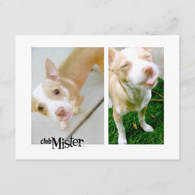 Cartão Postal Senhor! Língua! (Frente)