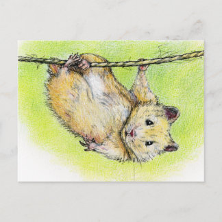 Cartão Postal Senhor Presunto