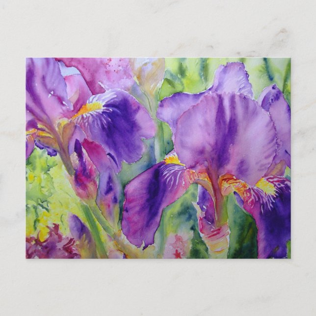 Cartão Postal Senhoras com barba (Frente)