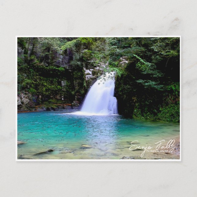 Cartão Postal Senju Falls (The Akame 48 waterfalls) ポストカード (Frente)